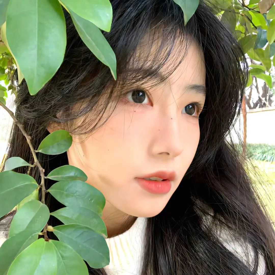 三角窗外是黑夜动画版